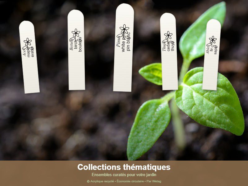 Collections thématiques